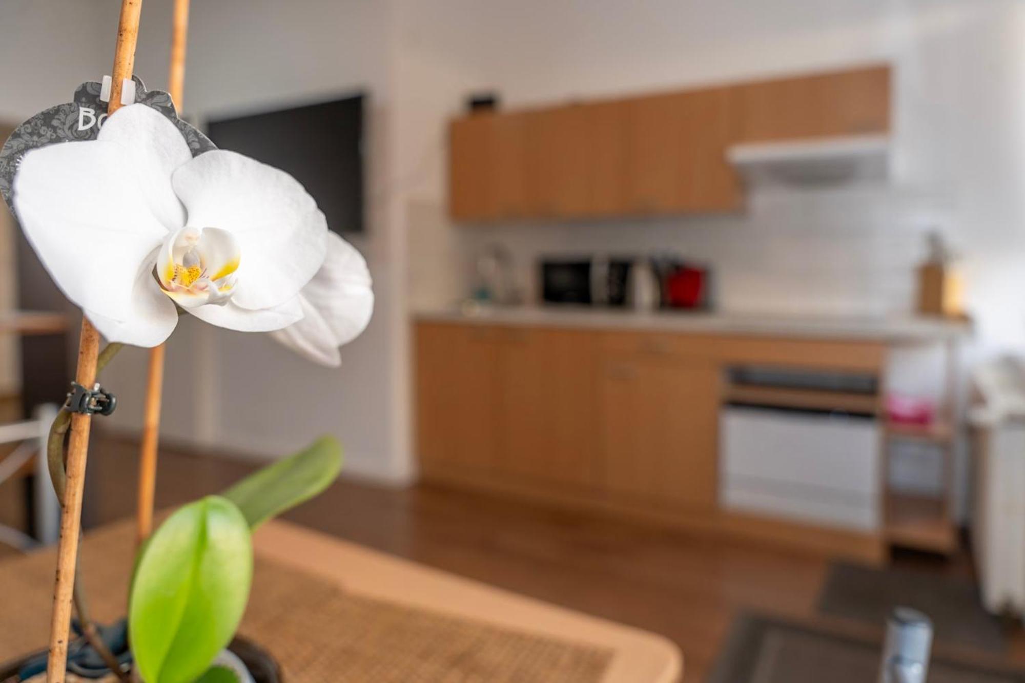 Cosy Nest - Apartment By Comfort Housing Falkensee Eksteriør bilde